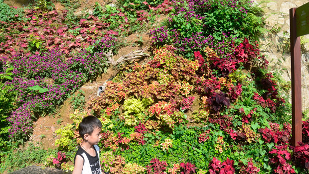 The Habitat Penang Hill