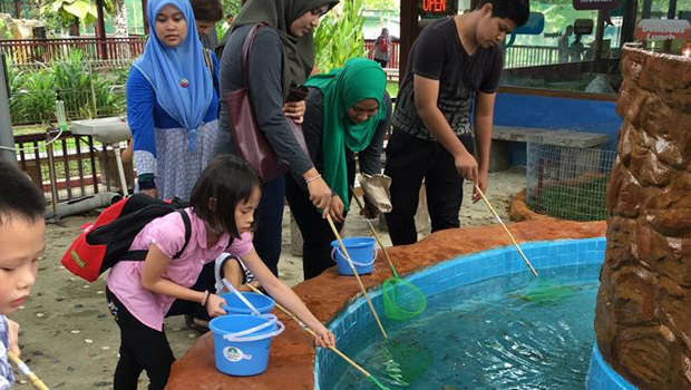 “Longkang” fishing is the in-thing @ Langkawi Wildlife Park